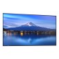 Sharp P506, 50" P-Series LFD, UHD